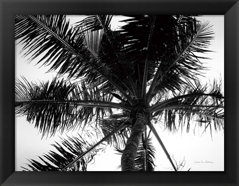 Framed Palm Tree Looking Up III Print