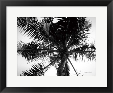 Framed Palm Tree Looking Up III Print