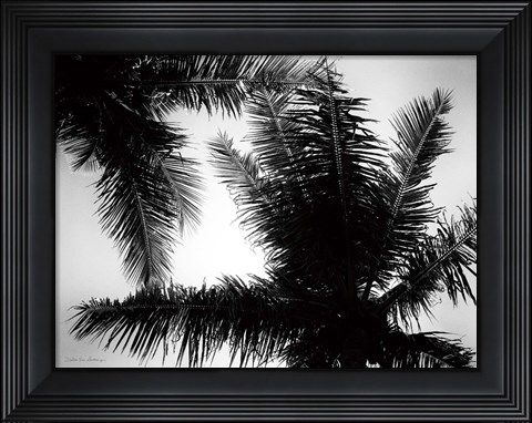 Framed Palm Tree Looking Up I Print