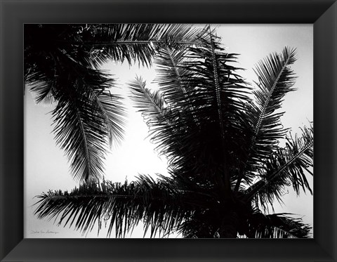 Framed Palm Tree Looking Up I Print