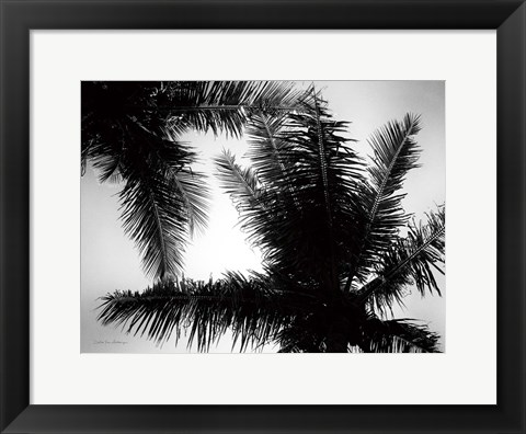 Framed Palm Tree Looking Up I Print