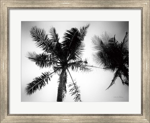 Framed Palm Tree Looking Up II Print