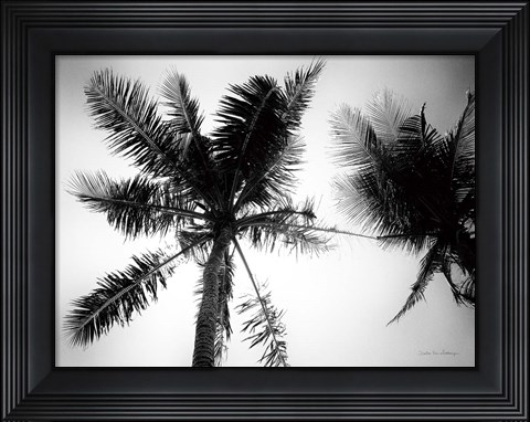 Framed Palm Tree Looking Up II Print