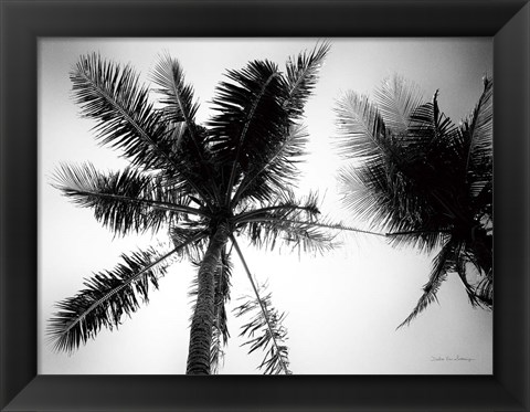 Framed Palm Tree Looking Up II Print