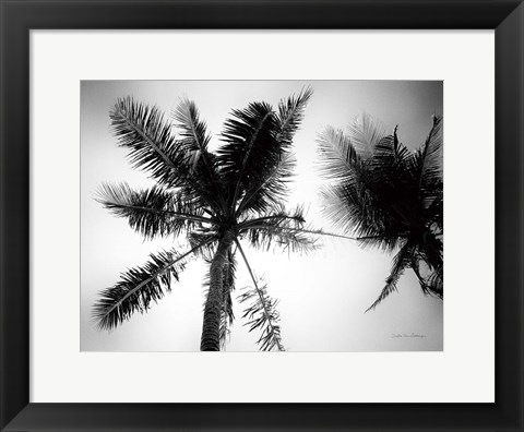 Framed Palm Tree Looking Up II Print