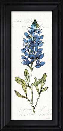 Framed Texas Bluebonnet IV Print