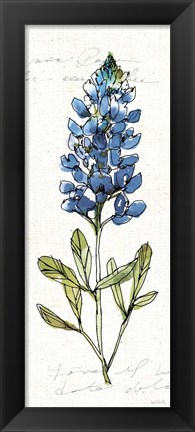 Framed Texas Bluebonnet IV Print