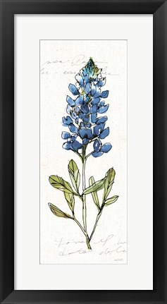 Framed Texas Bluebonnet IV Print