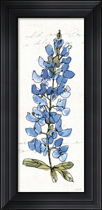 Framed Texas Bluebonnet III Print