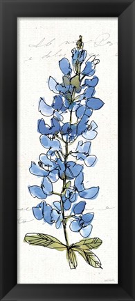 Framed Texas Bluebonnet III Print