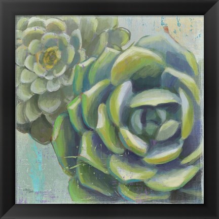 Framed Succulents II Crop Print