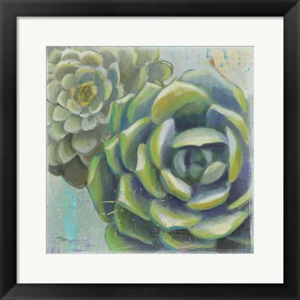 Framed Succulents II Crop Print