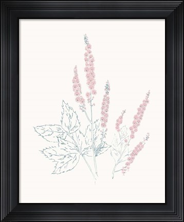 Framed Flowers on White VII Contemporary Print