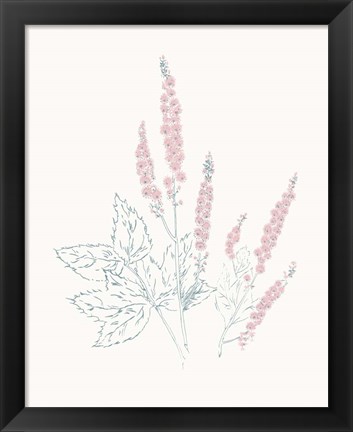 Framed Flowers on White VII Contemporary Print