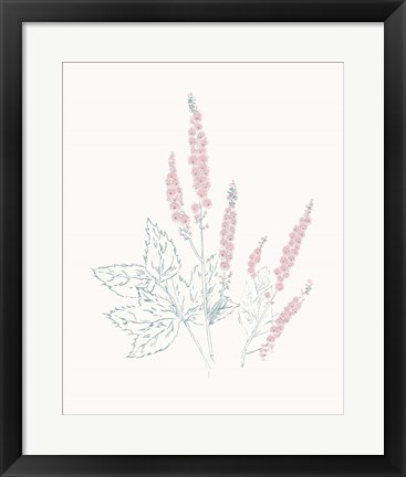 Framed Flowers on White VII Contemporary Print