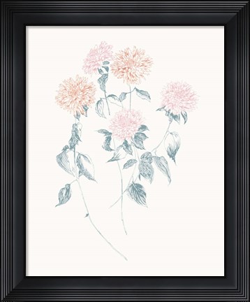 Framed Flowers on White VI Contemporary Print