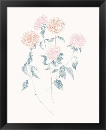 Framed Flowers on White VI Contemporary Print