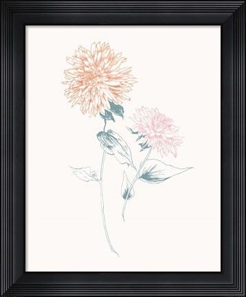 Framed Flowers on White IV Contemporary Print
