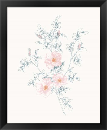 Framed Flowers on White II Contemporary Print