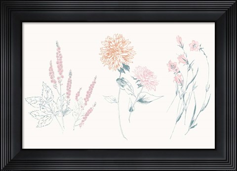 Framed Flowers on White VIII Contemporary Print