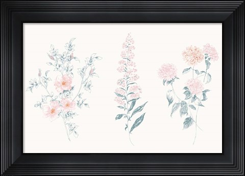 Framed Flowers on White IX Contemporary Print