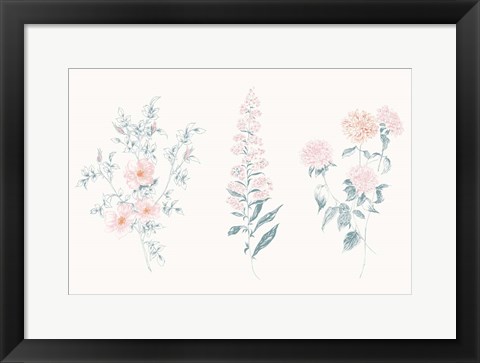 Framed Flowers on White IX Contemporary Print