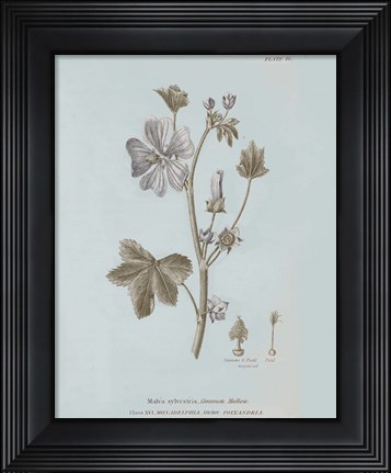 Framed Conversations on Botany VII Blue Print