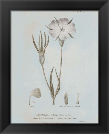 Framed Conversations on Botany III Blue Print