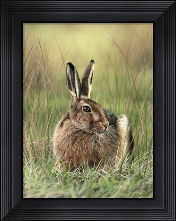 Framed Brown Hare Print