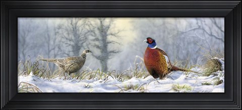 Framed Pheasants Print