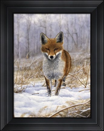 Framed Red Fox Print