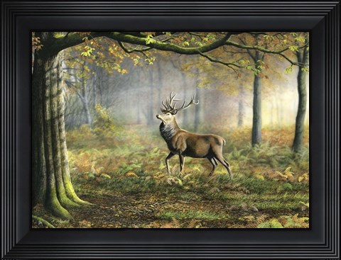 Framed Red Stag Print
