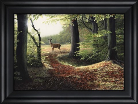 Framed Roe Deer Print
