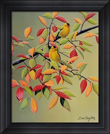 Framed Backyard Goldfinches Print