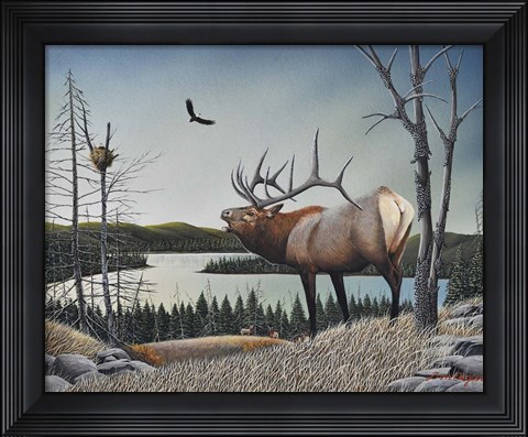 Framed Bugling Elk Print
