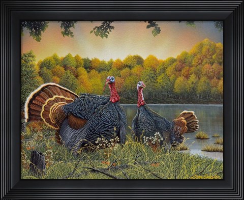 Framed Turkey Season Print