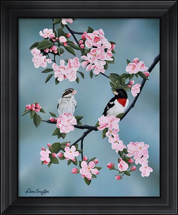 Framed Red-breasted Grosbeaks Print
