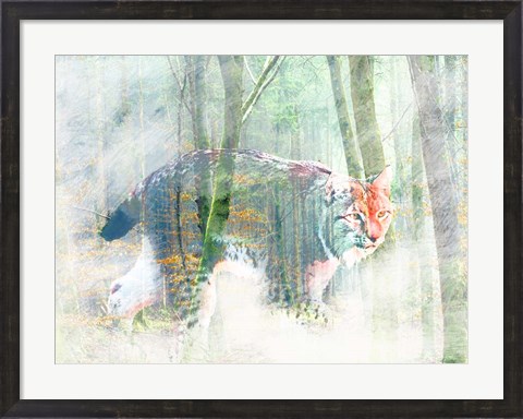 Framed Silent Hunter Print