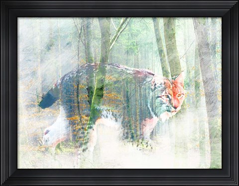 Framed Silent Hunter Print