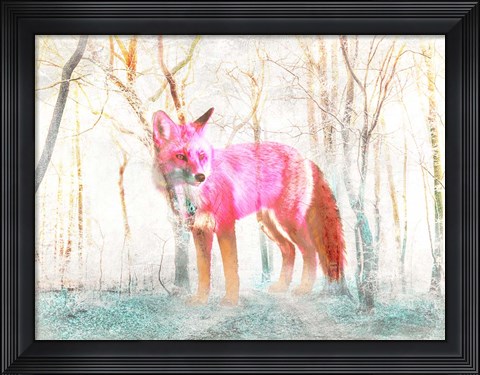 Framed Wilderness Print