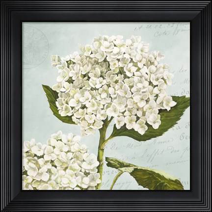 Framed Hydrangeas II (Aqua) Print