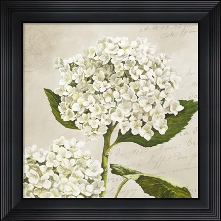 Framed Hydrangeas II (Neutre) Print
