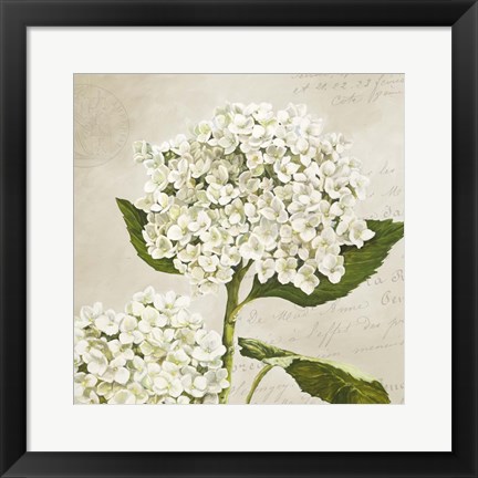 Framed Hydrangeas II (Neutre) Print