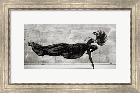 Framed Black Swan Print