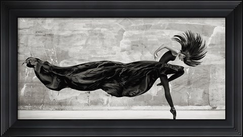 Framed Black Swan Print