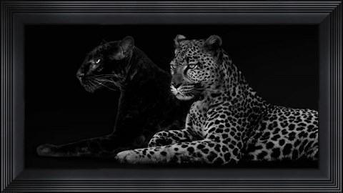 Framed Brotherhood Print