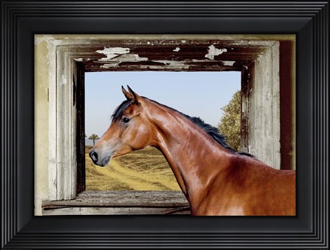 Framed Arab King Print