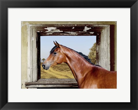 Framed Arab King Print