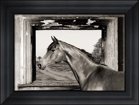 Framed Arab King (BW) Print