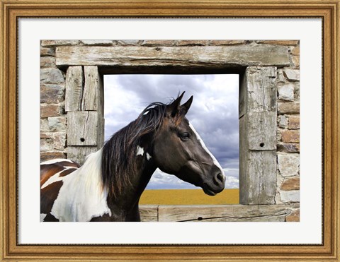Framed Painted Horse Print